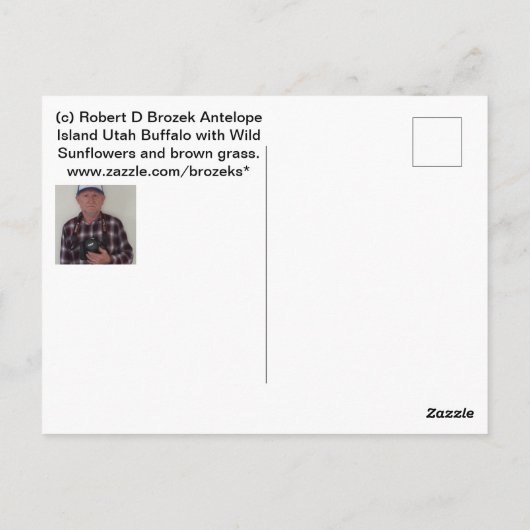 Buffels op Antelope Island in Utah Briefkaart (Achterkant)
