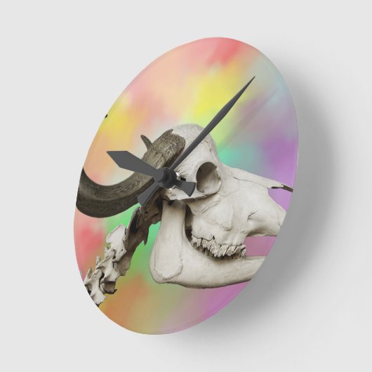 Buffelschedel op Waterverf achtergrond Ronde Klok (Hoek)