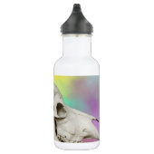 Buffelschedel op Waterverf achtergrond Waterfles (Rechts)