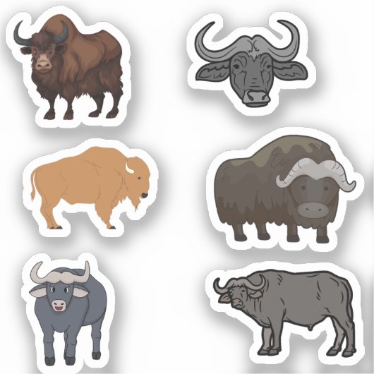 BuffelStickers Sticker (Voorkant)