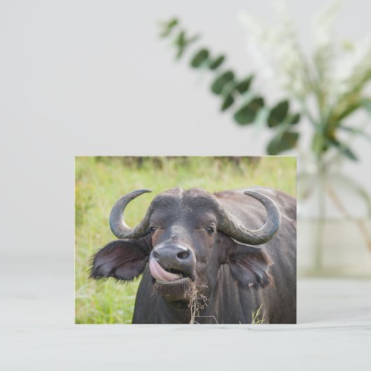 Buffelteken Tongue-out Briefkaart (Staand voorkant)