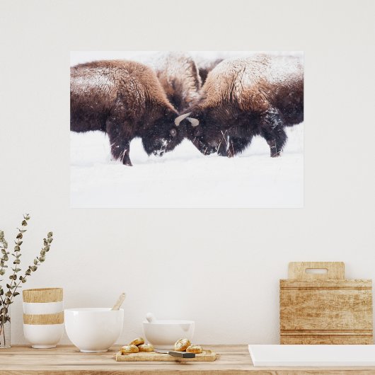 Buffeltoonafspelen Poster (Keuken)