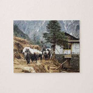 Buffelvervoer, Everest-uitzichten — Nepal Legpuzzel