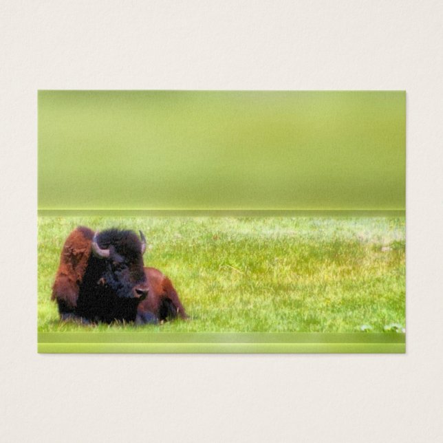 Buffelweide Visitekaartjes (Voorkant)