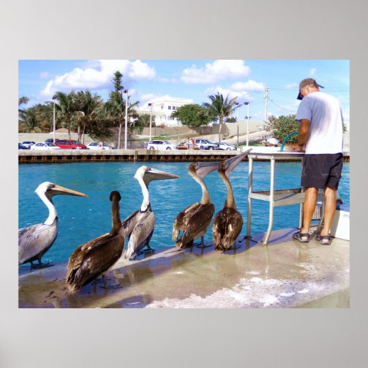 Buffetlijn Poster (Voorkant)