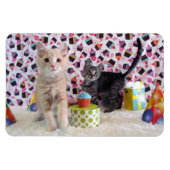 Buffington en Patton's geboortelecat / Kitten Magneet (Horizontaal)