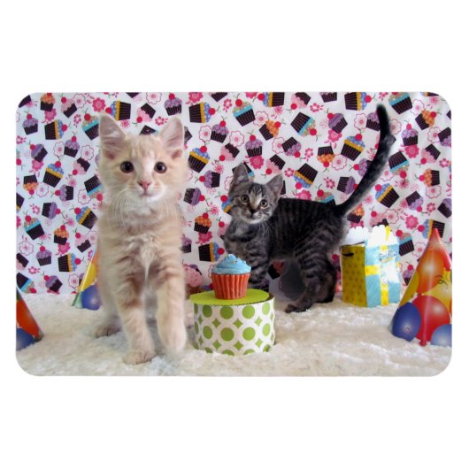 Buffington en Patton's geboortelecat / Kitten Magneet (Horizontaal)