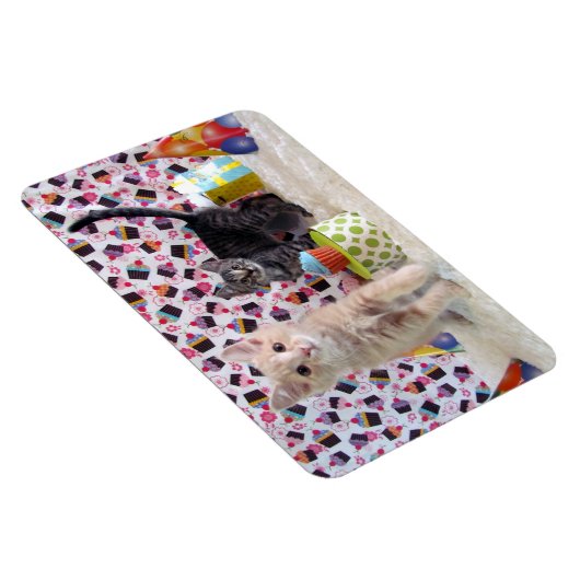 Buffington en Patton's geboortelecat / Kitten Magneet (Rechterzijde)