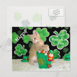 Buffington St. Patrick's Day Briefkaart - Kat