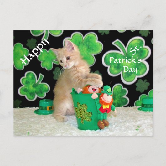 Buffington St. Patrick's Day Briefkaart - Kat (Voorkant)