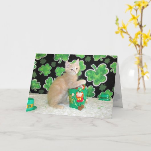 Buffington The Cat - St. Patrick's Day Kaart (Gele Bloem)