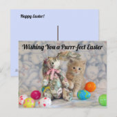 Buffington's paashaas - Kat / KeukenBriefkaart Briefkaart (Voorkant / Achterkant)