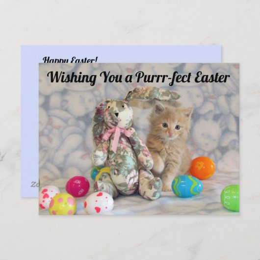 Buffington's paashaas - Kat / KeukenBriefkaart Briefkaart (Voorkant / Achterkant)