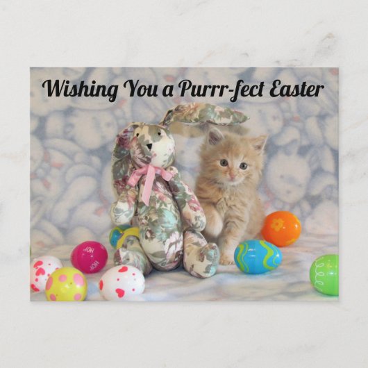 Buffington's paashaas - Kat / KeukenBriefkaart Briefkaart (Voorkant)