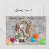 Buffington's Paashaas - Kat - Vlakke kaart (Voorkant / Achterkant)