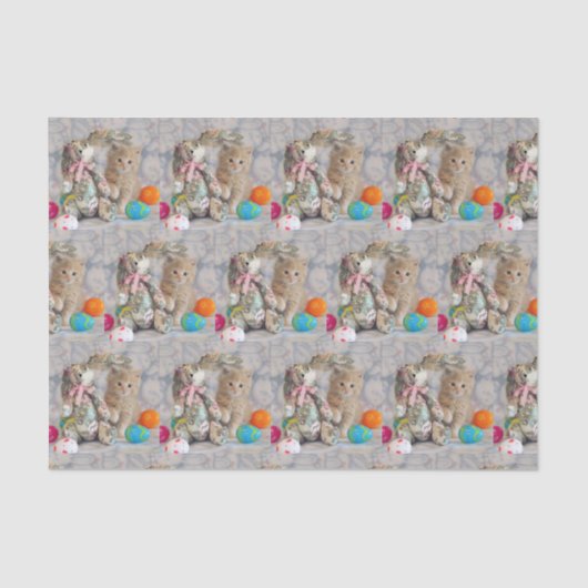 Buffington's paashaas - kattenpapier tissuepapier (Voorkant)