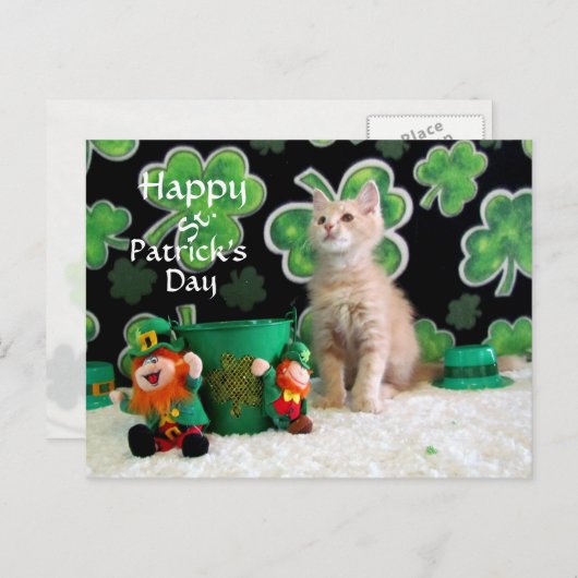 Buffington's St. Patrick's Day Cat / Kitten Briefkaart (Voorkant / Achterkant)