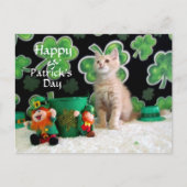 Buffington's St. Patrick's Day Cat / Kitten Briefkaart (Voorkant)