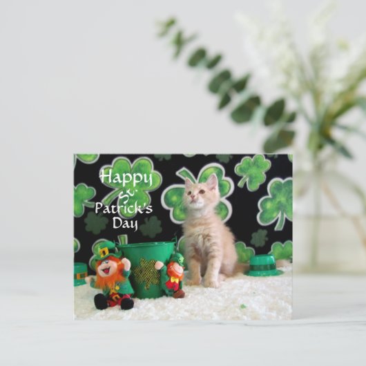 Buffington's St. Patrick's Day Cat / Kitten Briefkaart (Staand voorkant)