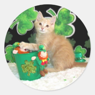 Buffington's St. Patrick's Day Cat / Kitten Ronde Sticker