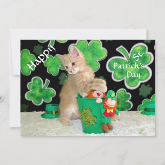 Buffington's St. Patrick's Day Flat Kaart - Cat (Voorkant)