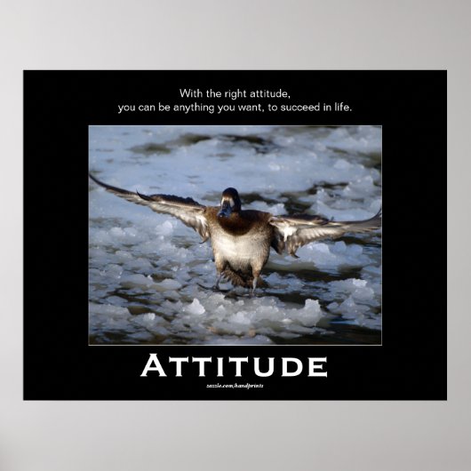 Bufflehead Duck Attitude Motivatie Posters (Voorkant)
