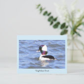 Bufflehead Duck Briefkaart (Staand voorkant)