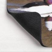 Bufflehead Duck met reflectie Muismat (Hoek)