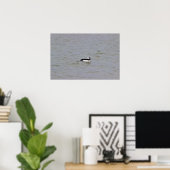 Bufflehead Duck Photo Poster (Thuiskantoor)