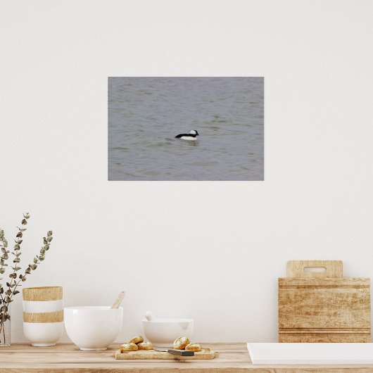 Bufflehead Duck Photo Poster (Keuken)