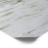 Bufflehead Duck Photo Poster (Hoek)