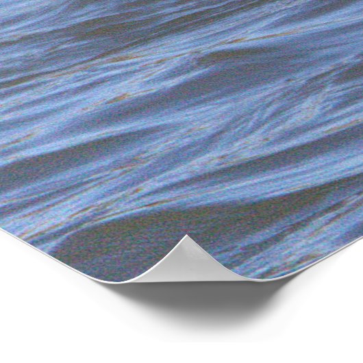 Bufflehead Duck Poster (Hoek)