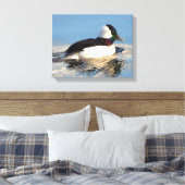 Bufflehead Eend Premium Verpakt Canvas (Glans) (Insitu (Slaapkamer))