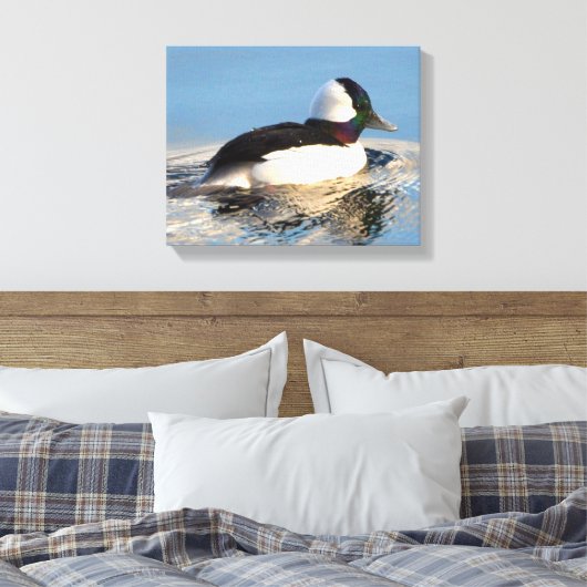 Bufflehead Eend Premium Verpakt Canvas (Glans) Afdruk (Insitu (Slaapkamer))