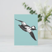 Bufflehead Sketch Briefkaart (Staand voorkant)