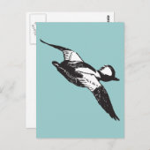Bufflehead Sketch Briefkaart (Voorkant / Achterkant)