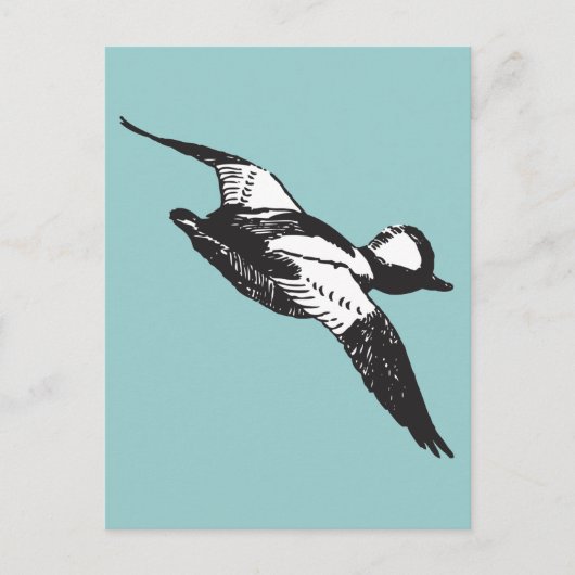 Bufflehead Sketch Briefkaart (Voorkant)