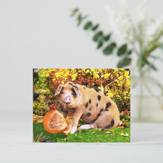 "Buffy's pomkin"  Briefkaart (Staand voorkant)