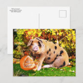 "Buffy's pomkin"  Briefkaart (Voorkant / Achterkant)