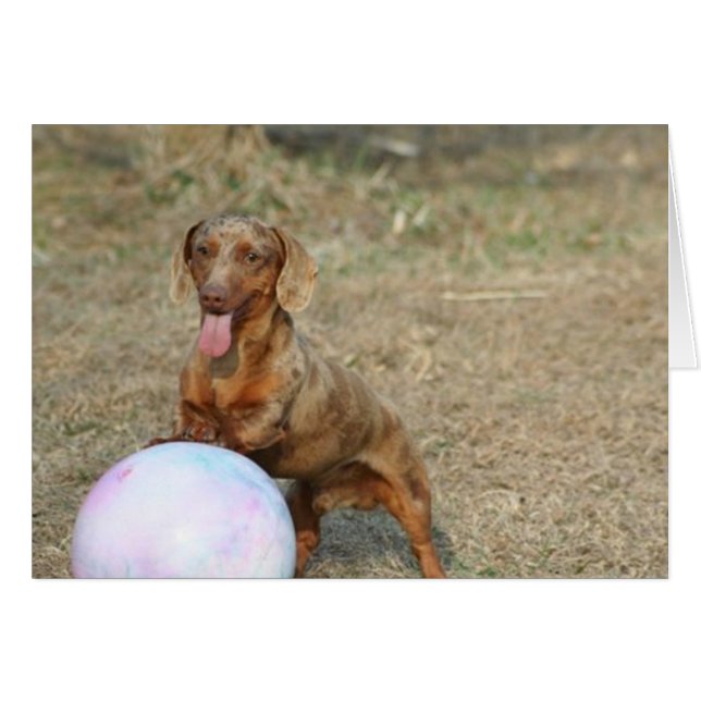 Buford 1 (Voorkant Horizontaal)