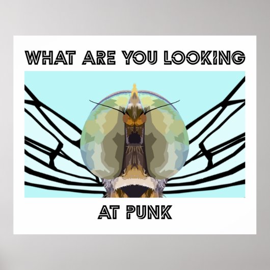 BUG 1 POSTER (Voorkant)