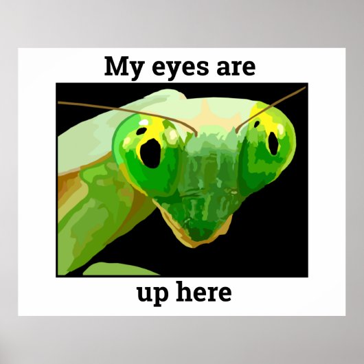 Bug 2 poster (Voorkant)