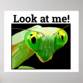 BUG 3 POSTER (Voorkant)