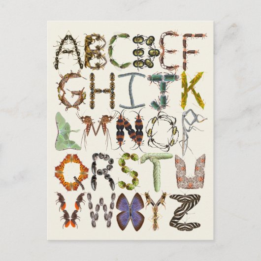 Bug Alphabet - Insect thema Kinder kunst Briefkaart (Voorkant)