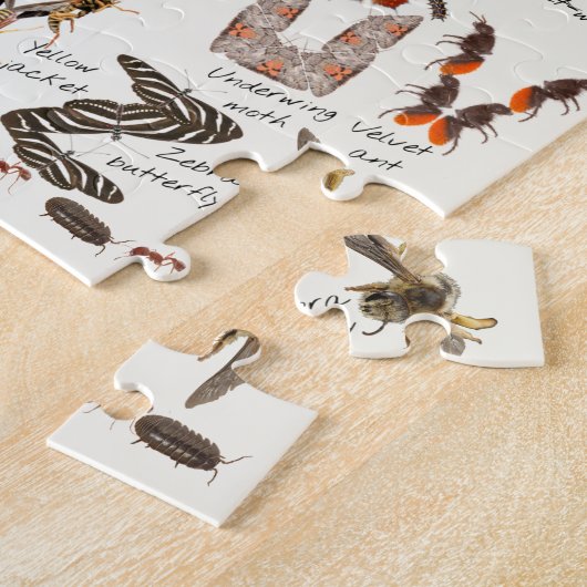 Bug Alphabet Puzzle \ Insect ABCs Legpuzzel (Zijkant)