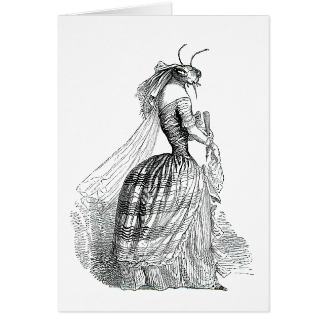 Bug Bustle (Voorkant)