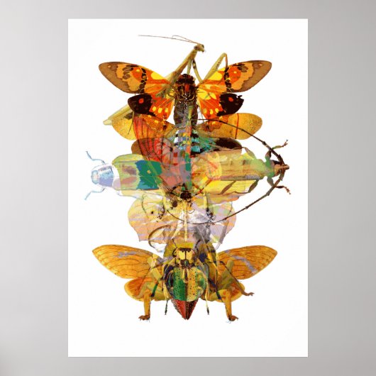 Bug Collage Poster (Voorkant)