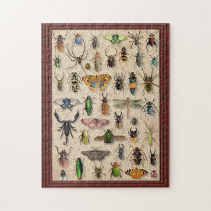 Bug Collectie Insects Fun Entomology Legpuzzel