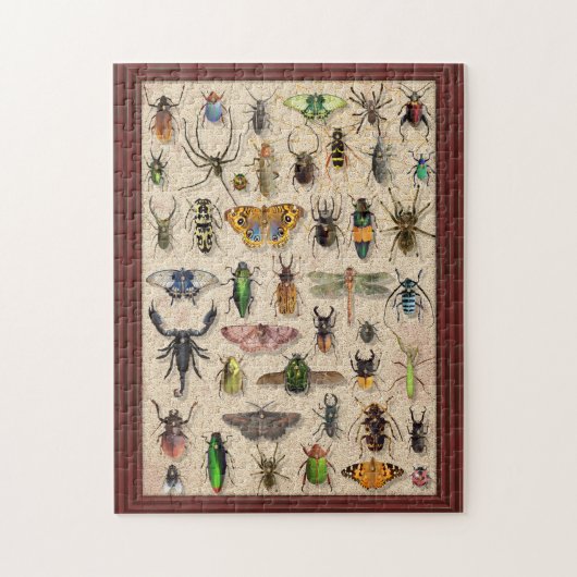 Bug Collectie Insects Fun Entomology Legpuzzel (Verticaal)