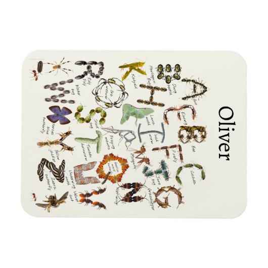 Bug Decor - Bug Alphabet voor kinderen Magneet (Horizontaal)
